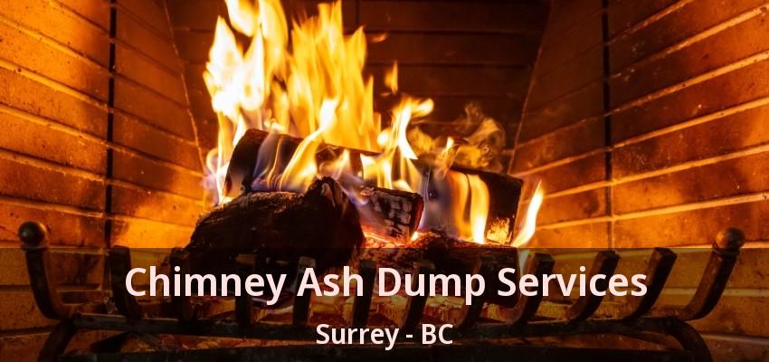 Chimney Ash Dump Services Surrey - BC