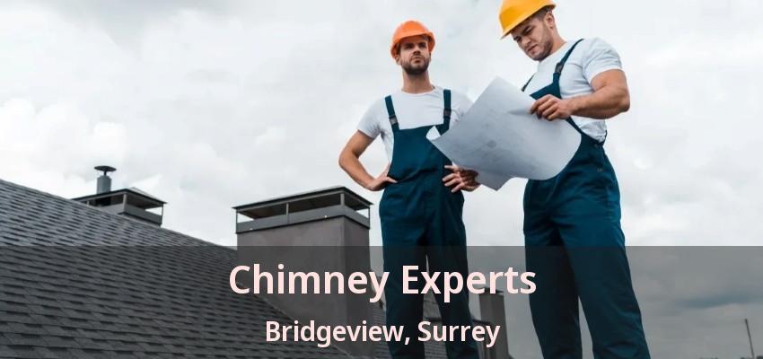 Chimney Experts Bridgeview, Surrey - BC