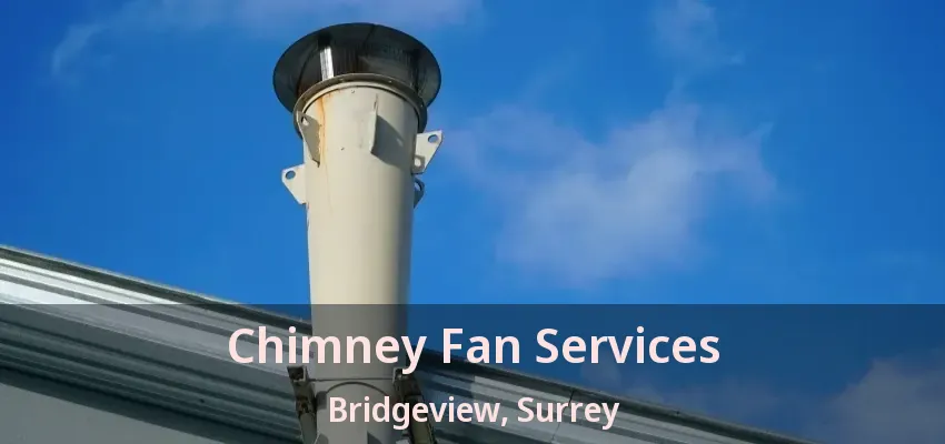 Chimney Fan Services Bridgeview, Surrey - BC