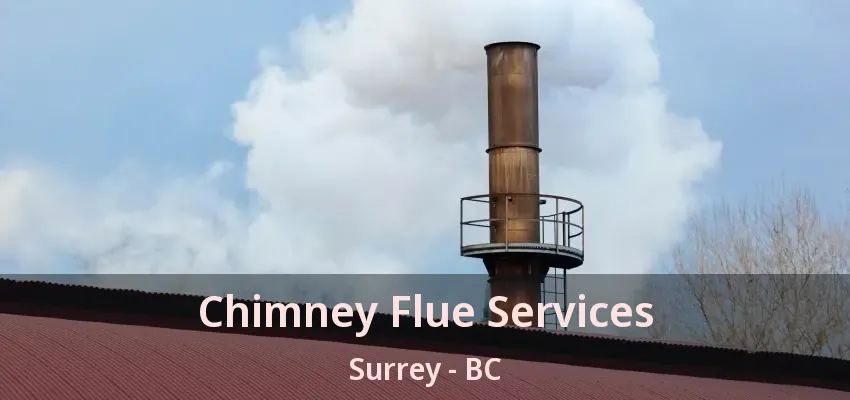 Chimney Flue Services Surrey - BC Chimney Flue Services Surrey - BC