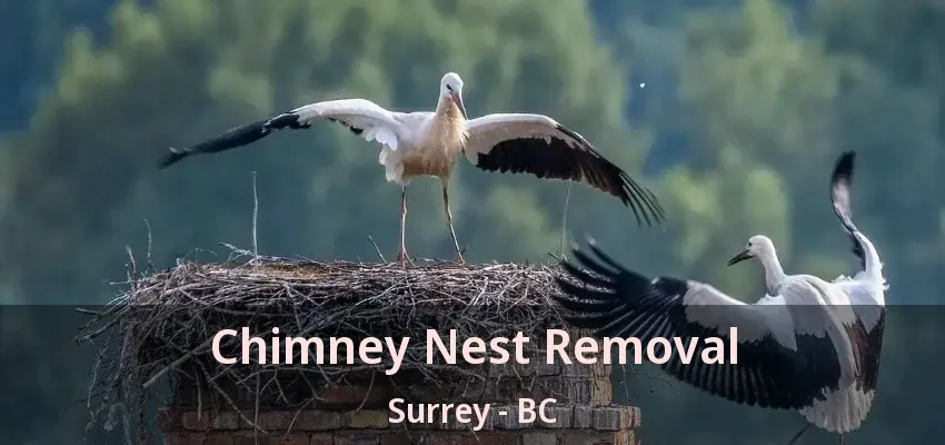 Chimney Nest Removal Surrey - BC Chimney Nest Removal Surrey - BC