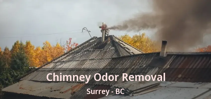 Chimney Odor Removal Surrey - BC