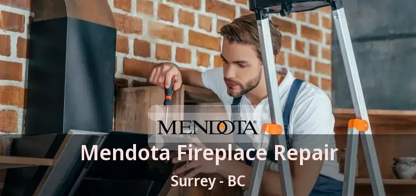 Mendota Fireplace Repair Surrey - BC