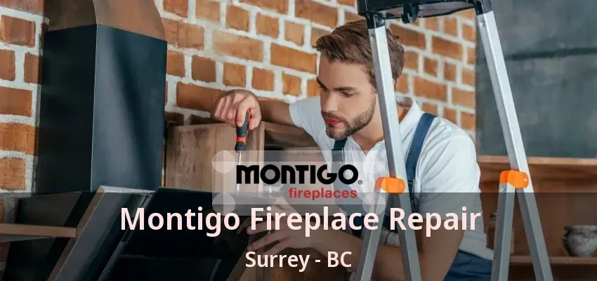 Montigo Fireplace Repair Surrey - BC Montigo Fireplace Repair Surrey - BC