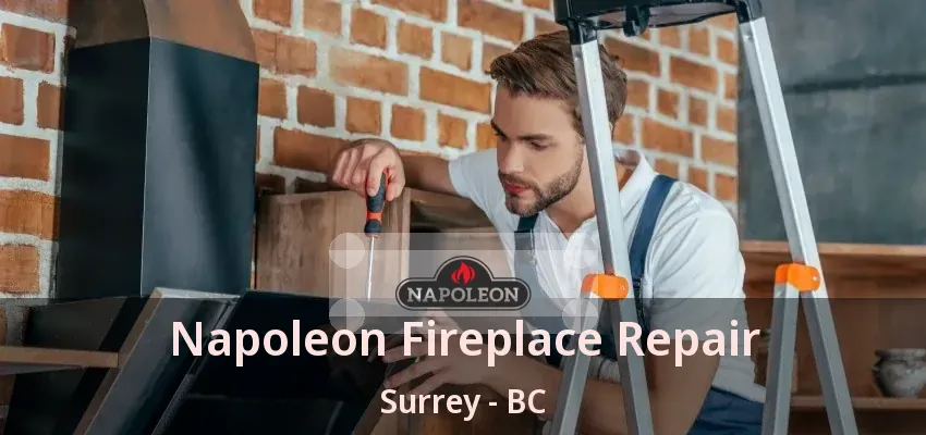 Napoleon Fireplace Repair Surrey - BC