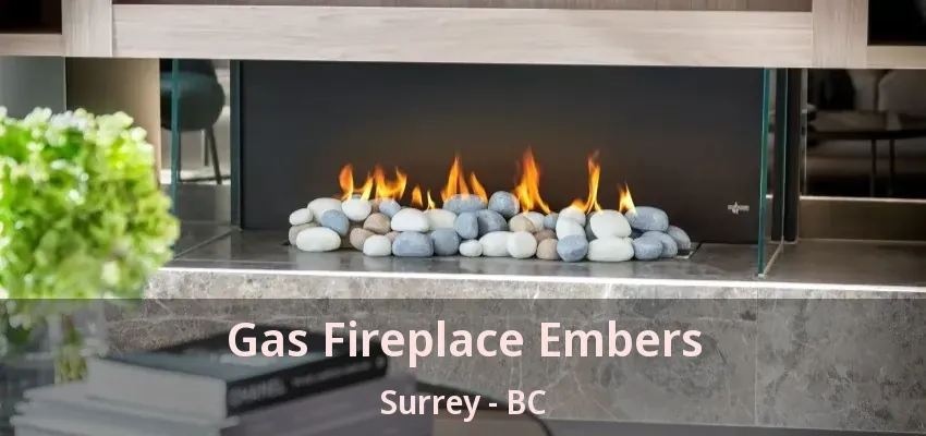 Gas Fireplace Embers Surrey - BC Gas Fireplace Embers Surrey - BC