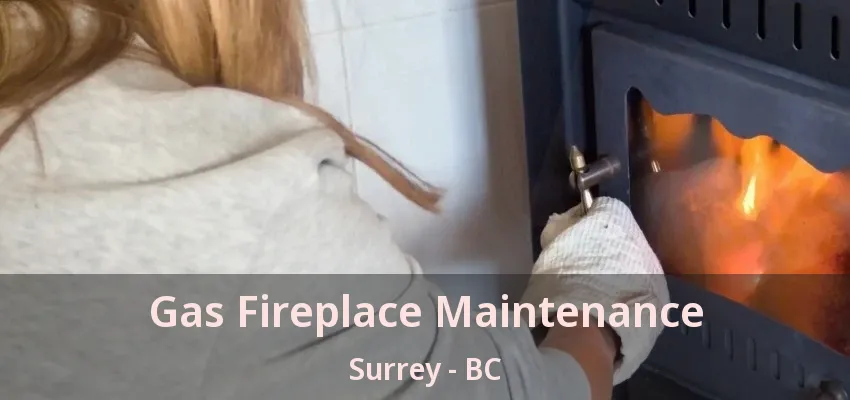 Gas Fireplace Maintenance Surrey - BC