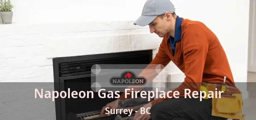 Napoleon Gas Fireplace Repair Surrey - BC