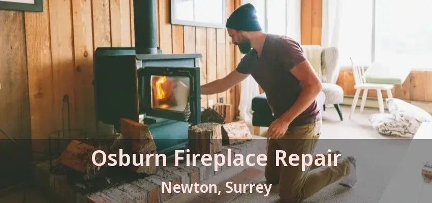 Osburn Fireplace Repair Newton, Surrey - BC