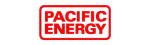 Pacific Energy Regency Fireplace Repair in Surrey